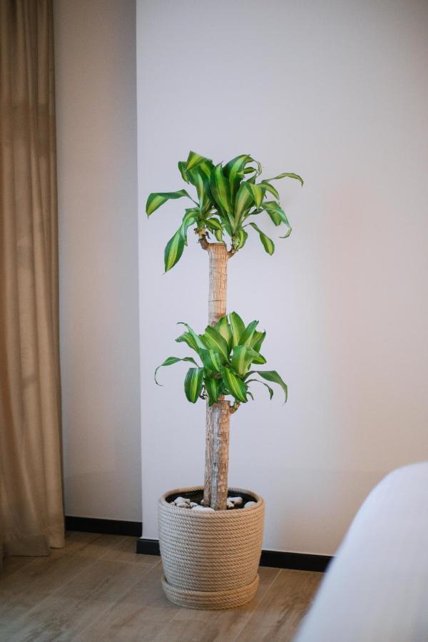 Boulevard Boutique Aparthotel Корча Экстерьер фото